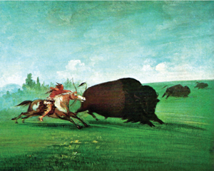 In the chase to overtake the powerful bull buffalo, portrayed in this painting by George Catlin, Native Americans sometimes had to gallop their horses five miles across the plains. Images from The Story of America. 