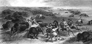 A buffalo shoot as illustrated in John C. Frémont’s memoirs.