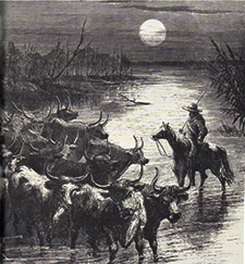 Texas cowboys guiding a herd of longhorn steers across a stream during a trail drive In the 1860s. Image from The Texans by David Nevin.