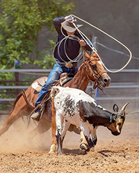 Richmond’s Historic George Ranch Turns 200 Years Old with Year Long Celebration Including The George Ranch 200th Anniversary CPRA Rodeo May 3rd and 4th