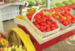 Fulshear Farmers Market