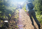 Texas Master Naturalists Bike Hike