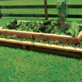 Harvest Green Partners with Enchanted Nurseries & Landscapes for Community’s Backyard Gardens