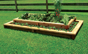 The two-tiered garden box is one of three options of the raised, ready-to-grow backyard gardens available to Harvest Green families. 