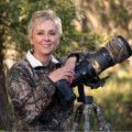 Bird Photography on Display at George Memorial Library