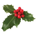 Holiday Entertaining & Dining – Dry Creek Social Club