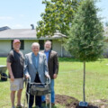 OakBend Medical Center Plants Tree in Remembrance of Ann Council