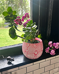 High Alert in Green Acres