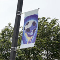 Crawford High School Senior’s FIFA-Themed Artwork Flies High at Sugar Land Regional Airport